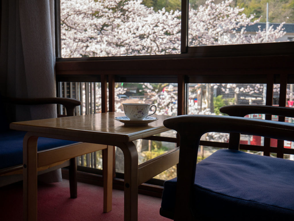 桜が見える部屋